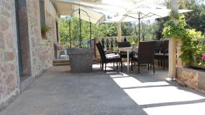 Apartment Pink Mimosa