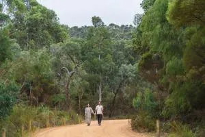 Wine Tree Estate Chalets - Quarram