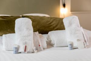 Appartements L'OPAL Wifi Teletravail Centre-ville : photos des chambres