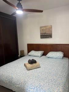 Fuerteventura Atlantic Gardens Corralejo