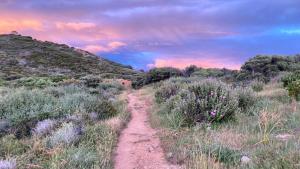 Appartements Solacargese Appartement de charme Vue imprenable Mediterranee : photos des chambres