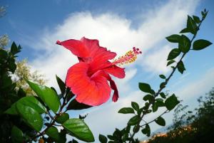 Appartements Solacargese Appartement de charme Vue imprenable Mediterranee : photos des chambres