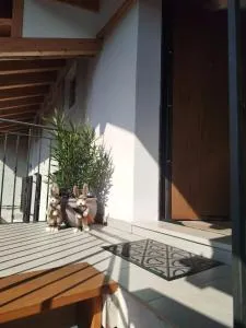 Alloggio turistico Rifugio Sereno - 圣米凯莱亚拉迪杰