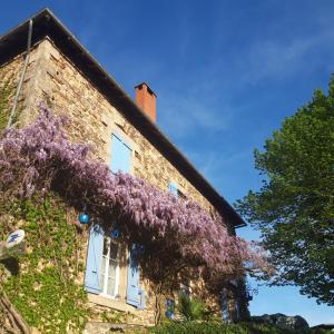 B&B / Chambres d'hotes chambre dhote condat sur ganaveix : photos des chambres