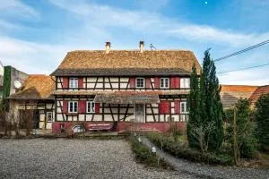 Renovated house with garden -20min from Strasbourg - 伊恩海姆