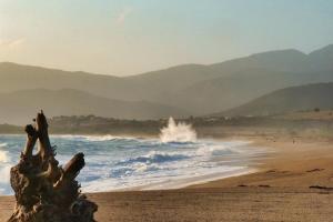 Appartements Solacargese Appartement de charme Vue imprenable Mediterranee : photos des chambres