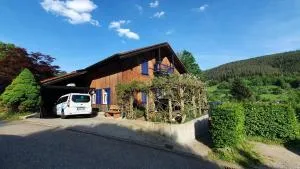 Kuckucksnest - Ferienwohnung mit Traumblick im Schwarzwald - 豪富基森安德恩茨