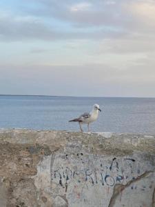 Attico in riva al mare