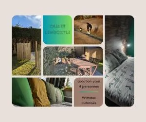 Chalet - l'Endoxyle - 萨乌丁