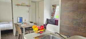 Campings MOBIL HOME CAMPING LES SABLES DU MIDI : photos des chambres