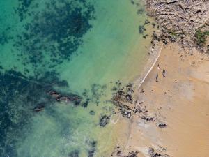 Hotels Hotel Le Nautilus : photos des chambres