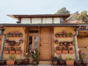 Mud House By Snovika The Organic Farm & Stays