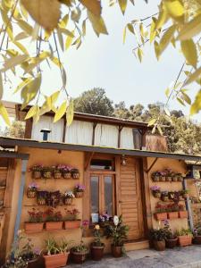 Mud House By Snovika The Organic Farm & Stays