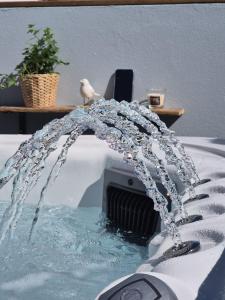 Villa de charme SPA - Piscine - Etang