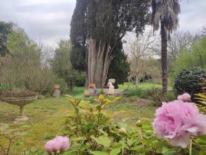 Maisons de vacances Grande Maison Simone-Climatisation-Parking-Terrain : photos des chambres