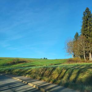 Schonach mountain-Top, forest, free parking, new kitchen, renovated bathroom
