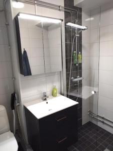 Viihtyisä Kerrostalo yksiö hissitalossa