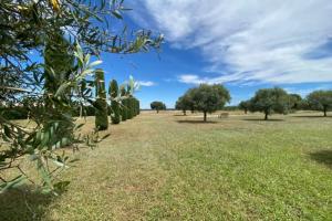 Appartements 04B5 Beautiful studio in a mas provencal - pool : photos des chambres