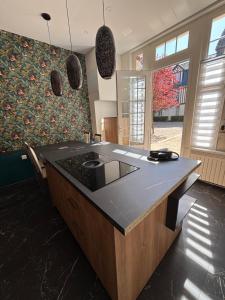 Appartements Appartement elegant au coeur de Cabourg : photos des chambres