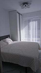 Family Beachfront Apartment