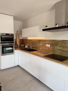 Appartements La parenthese du lac - Lake view and private parking : photos des chambres