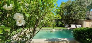 B&B / Chambres d'hotes Maison d'hotes La Bastide de Patou : photos des chambres