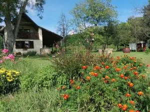 NATURKERT Vendégház - Sümeg