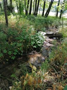 NATURKERT Vendégház