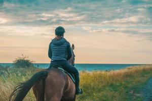 Bauernhof Lafrenz Ferienhaus Rose