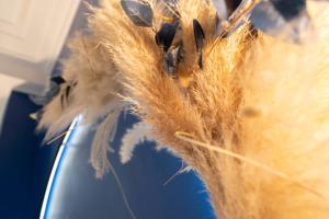 Chambre avec Balnéo, centre ville de Nice