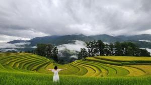 Homestay Hoa Thao