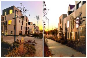 North Luxury 1 BR with Terrace in a Premium Complex