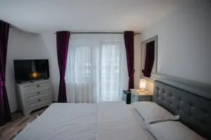 Boierița Home Stay - Botuş