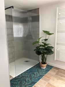 Maisons de vacances Les Gites de Pilot : photos des chambres
