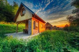 Jeżowa Woda Ośrodek Wypoczynkowy Palmiarnia i SPA - Gołkowice Górne