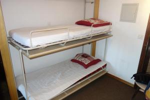 Mayens de l Ours CZ 031 - MOUNTAIN apartment 6 per