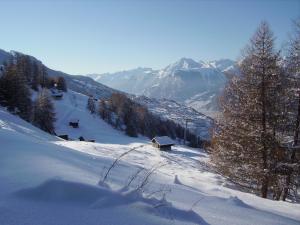 Mayens de l Ours CZ 031 - MOUNTAIN apartment 6 per