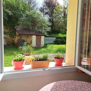 Maisons de vacances Gite de La Pivarderie : photos des chambres