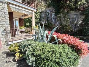 CITRUS Apartment Brenzone