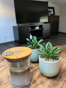 Superbe appartement en pierres