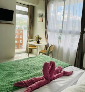 Aizens haven at Casa Mira Guadalupe