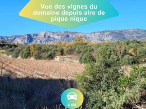 Maisons de vacances Ideal famille et groupe Mas dans les Cevennes Piscine Plages privees Cadre exceptionnel Convivialite Calme Vignoble Parking gratuit Borne electrique Animaux acceptes - Wifi : photos des chambres