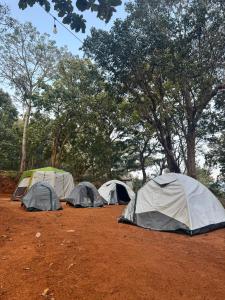The Tribe Yelagiri Camping