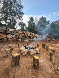 The Tribe Yelagiri Camping