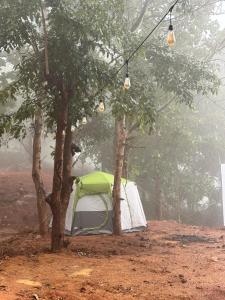 The Tribe Yelagiri Camping