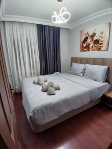 شقه الأحلام بمنطقة شيشلى ثلاث غرف وصالون