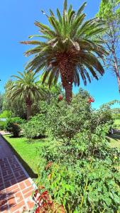 Hotel Boutique El Eden