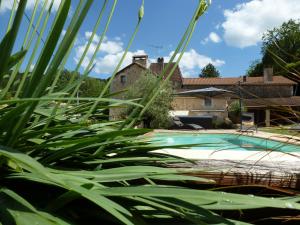 Maisons de vacances La Colline Truffiere : photos des chambres