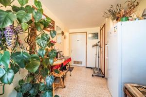 Appartements Les Hortensias : photos des chambres