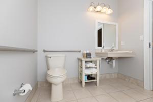 King Room with Roll-In Shower - Disability Access room in Selinsgrove Inn
